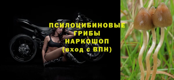 apvp Бронницы